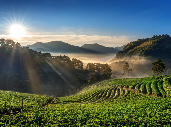 Kerala