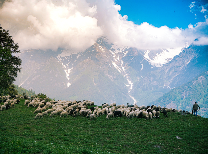 Kyrgyzstan